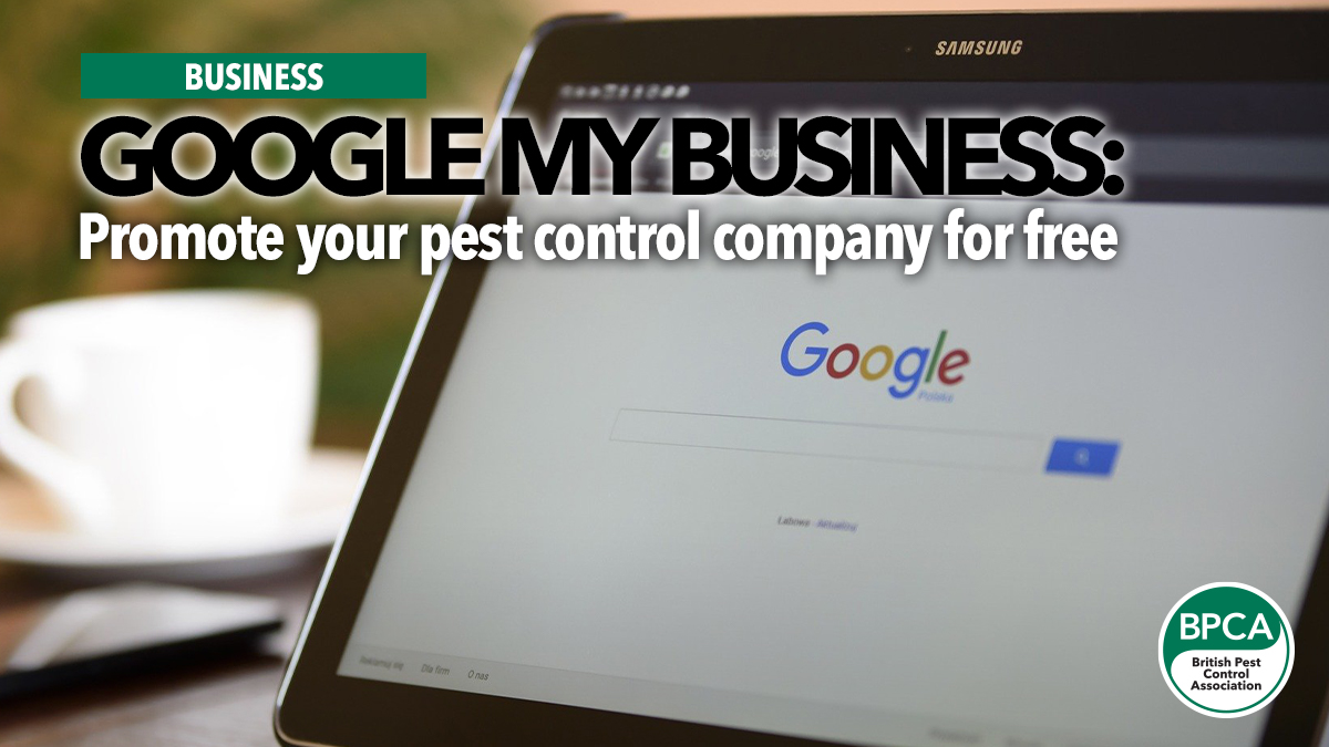 google-my-business google-my-business